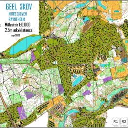 Geel Kirkeskov og Ravneholm A3 56%